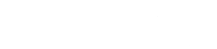 Sleek Writers logo